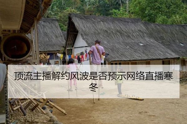 顶流主播解约风波是否预示网络直播寒冬
