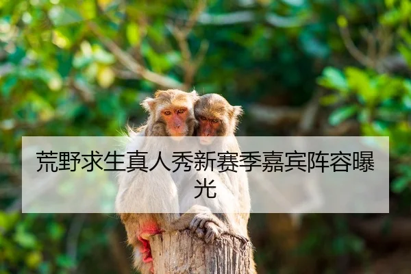 荒野求生真人秀新赛季嘉宾阵容曝光